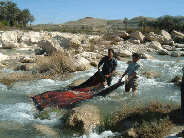 Area Rug Cleaning in River